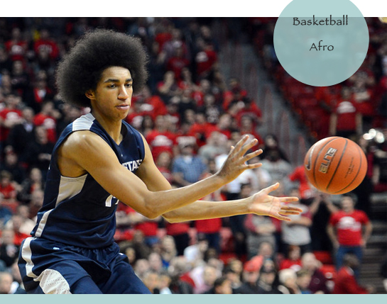 Basketball Afro